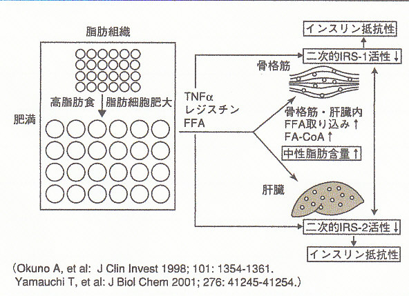 Ａｎｎｕａｌ　Ｒｅｖｉｅｗ糖尿病・代謝・内分泌 ２０１１/中外医学社/寺内康夫（単行本） Annual Review糖尿病・代謝・内分泌 2011